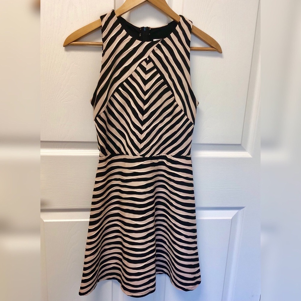 Textured Cream & Black Striped Dress